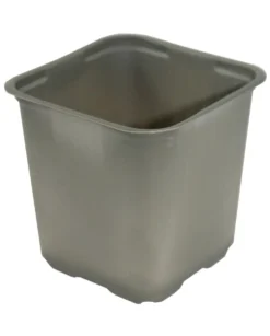 Bioruukku
