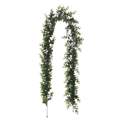 Eukalyptusköynnös 150cm