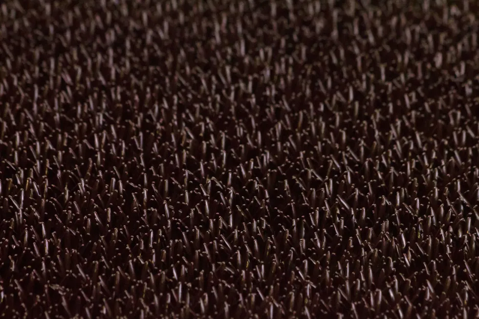 Finnturf palamatto 60x90cm