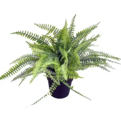 Koristesaniainen 35cm erilaisia