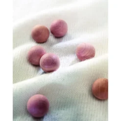 Setripuu koikarkoitin