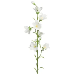 Sinikello oksa valkoinen 65cm