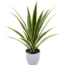 Tekokasvi Anopinkieli ruukussa 57cm