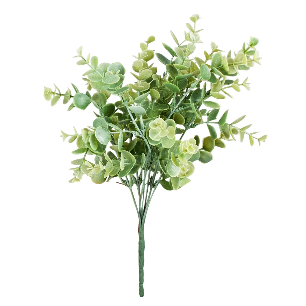 Tekokasvi Eucalyptus kimppu