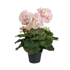 Tekokukka Pelargonia ruukussa 35cm roosa