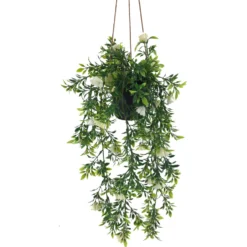 Viherkasvi ruukussa riippuva 48cm 6 eril